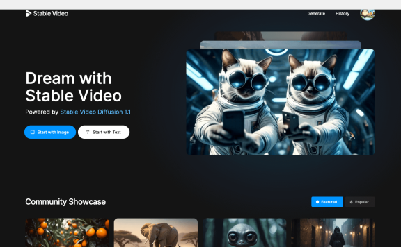 Stable Video-Stability AI推出的AI视频生成平台